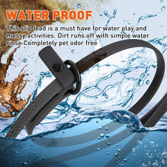 Dogline Biothane slip leash durable material in rugged outdoor use.