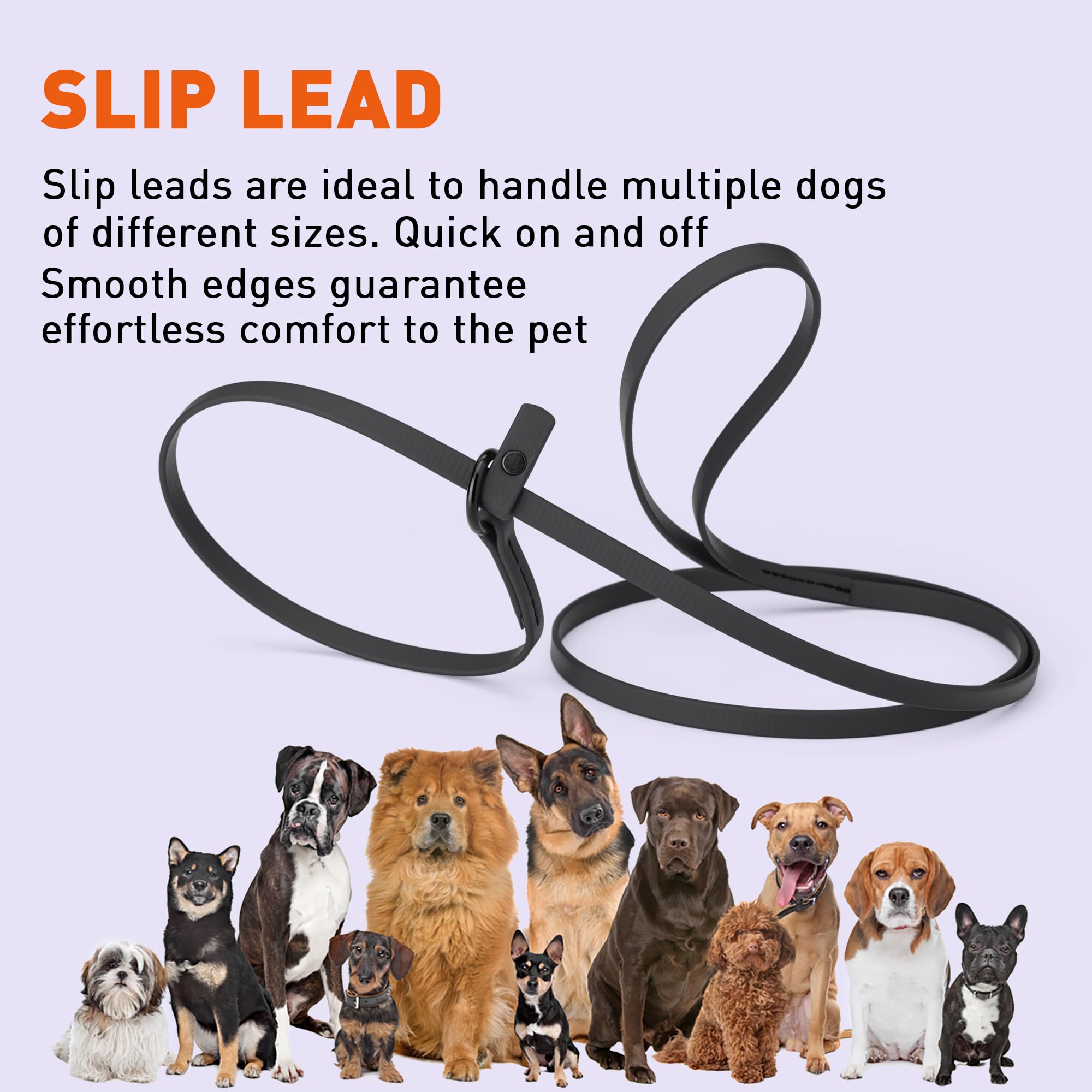 Dogline Biothane slip leash heavy-duty daily use.