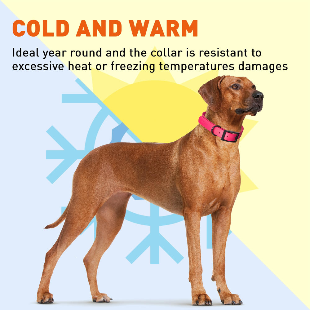 Dogline Biothane Waterproof Collar eight lengths five widths for precise fit