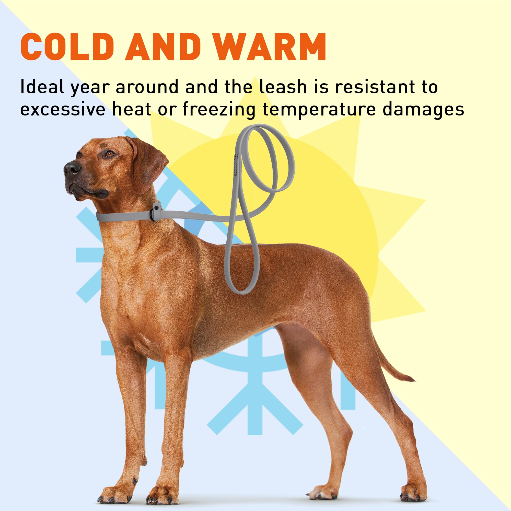 Dogline compact collar leash folded illustrates space-saving travel accessory