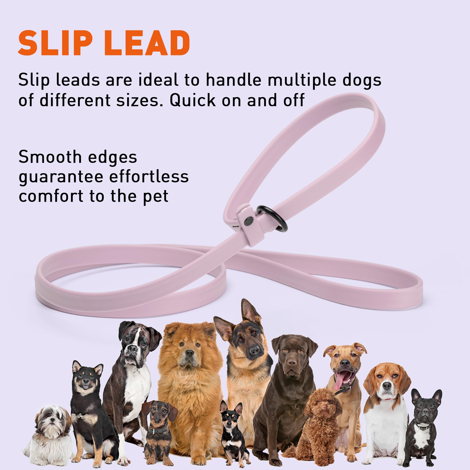 Dogline durable-dog-leash outdoor-walk image demonstrates reliability in outdoor environments.