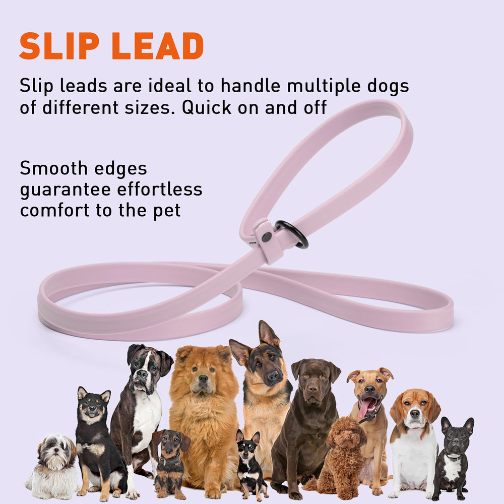 Dogline durable-dog-leash outdoor-walk image demonstrates reliability in outdoor environments.