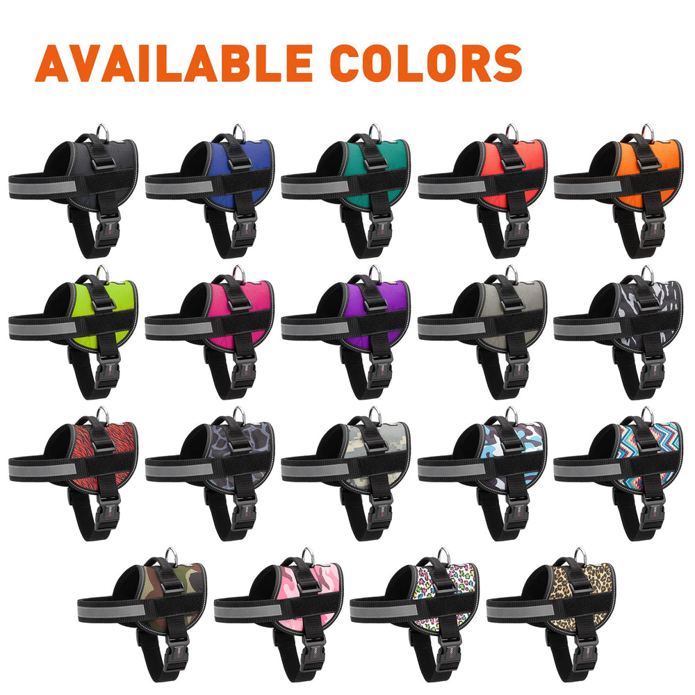 Dogline harness handle provides added control during walks