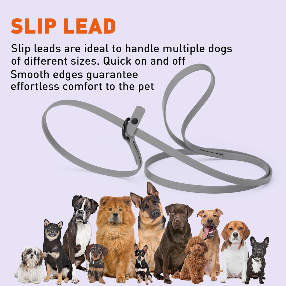 Dogline kennel use photo shows versatile lead for multiple dogs