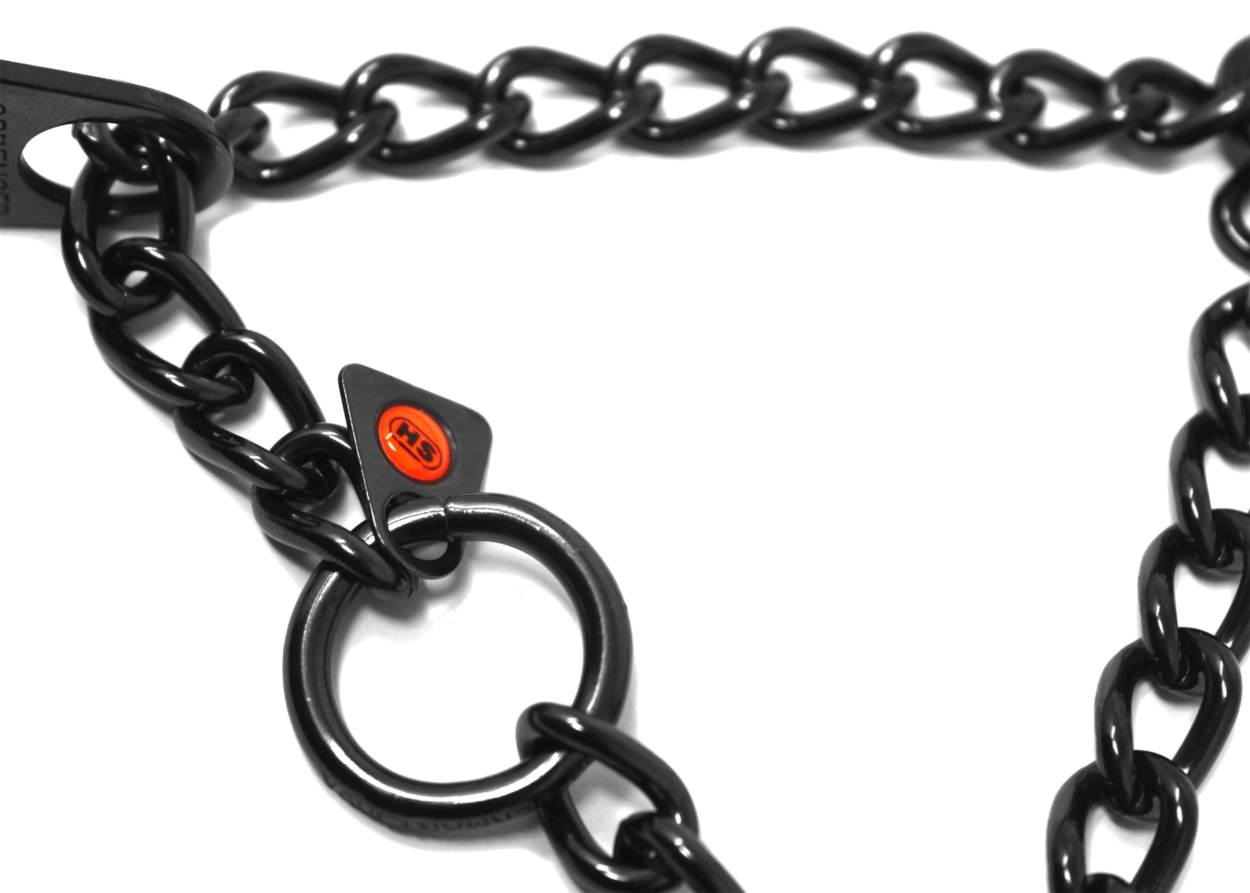 Dogline prong collar in use during a controlled walking session.