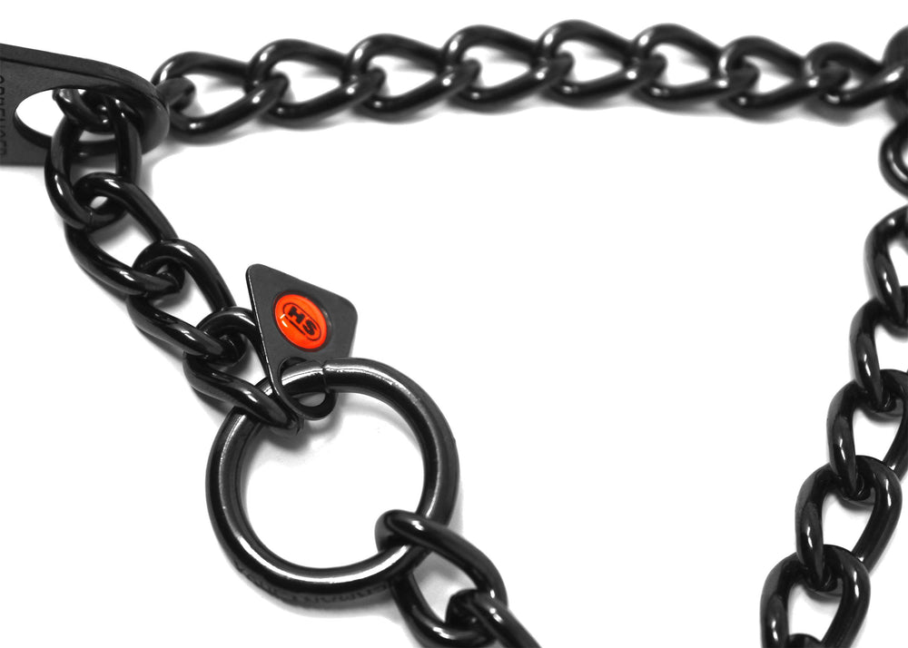 Dogline prong collar in use during a controlled walking session.