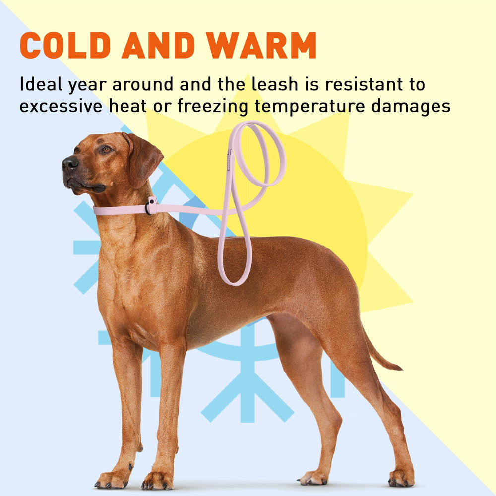 Dogline slip-leash kennels-breeders image illustrates versatile use in shelters and rescues.