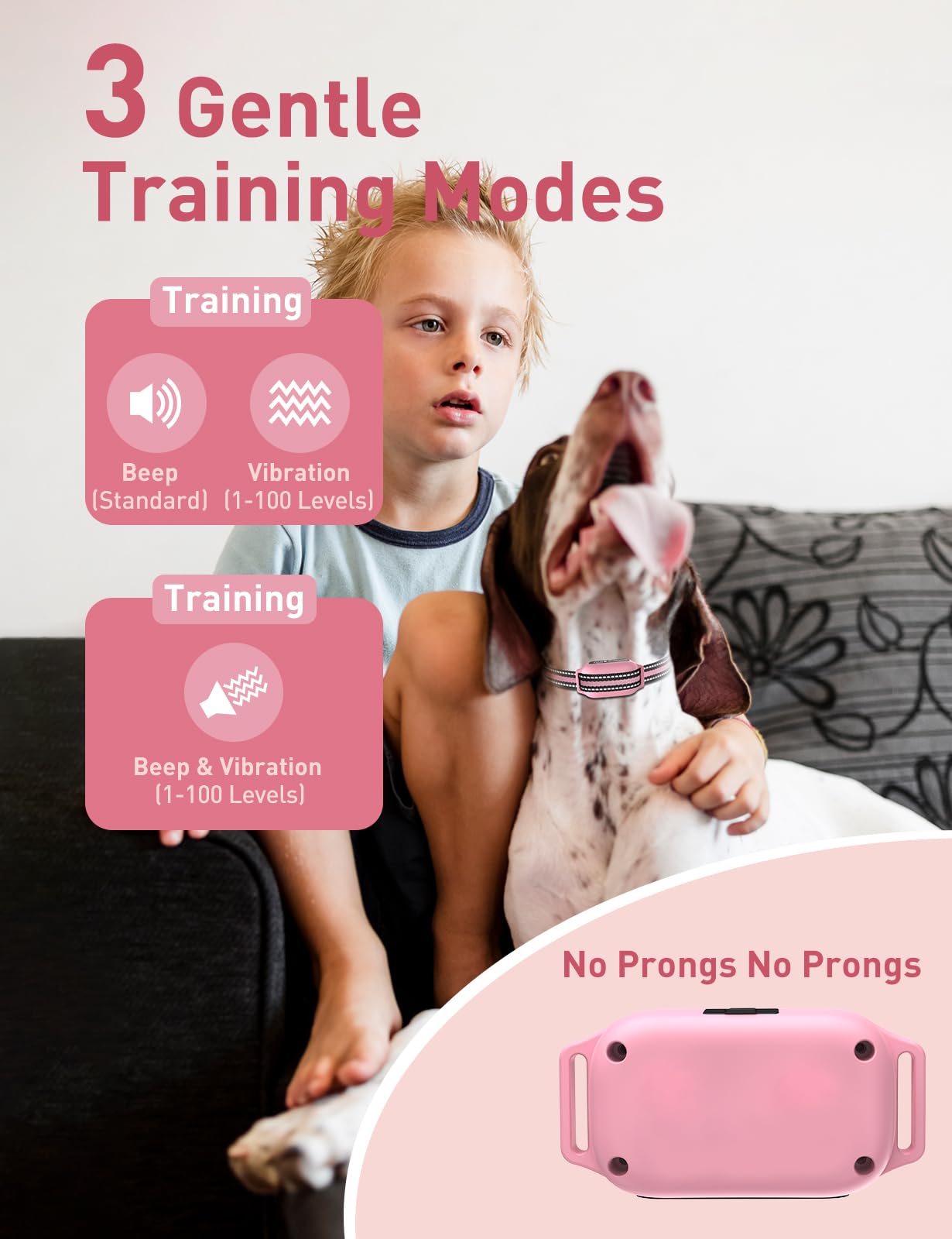 DOGLinsen 3-channel-training view supports multi-dog sessions.