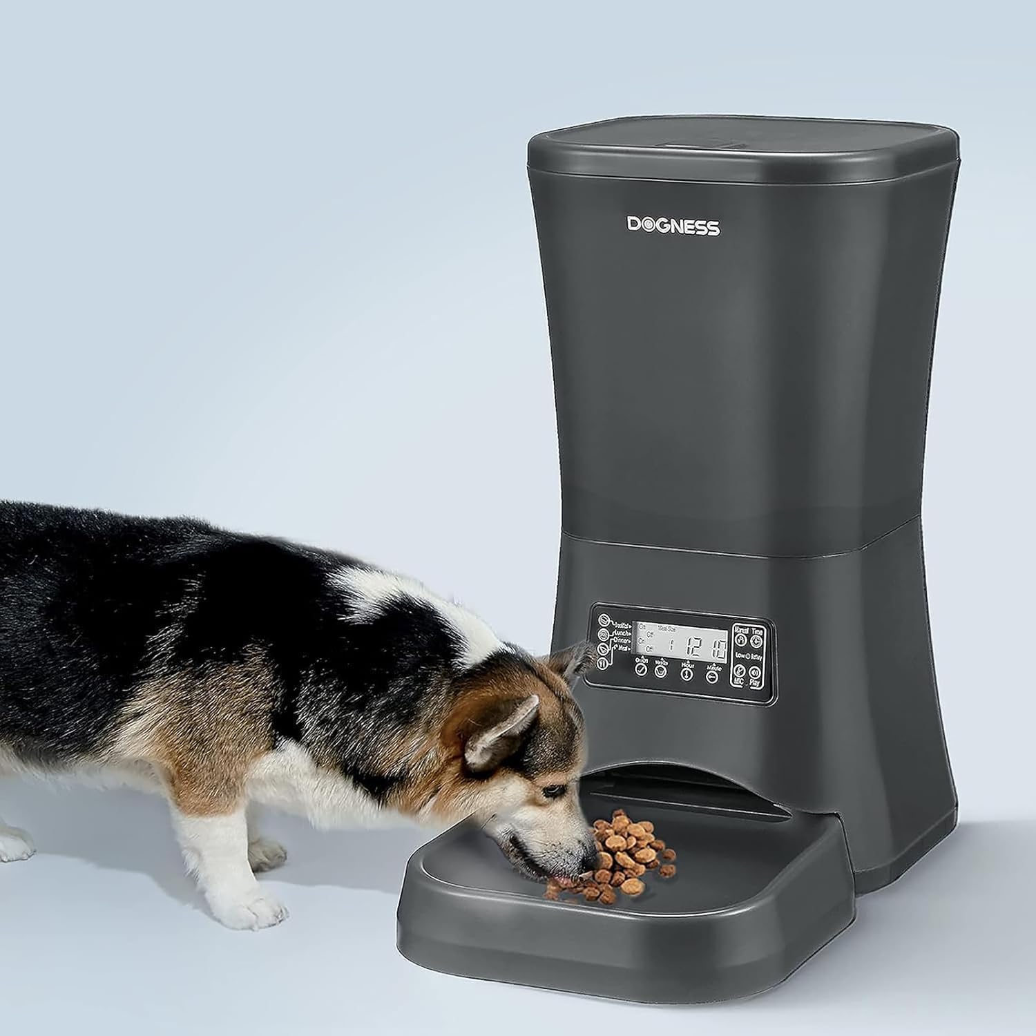 Dogness automatic feeder timer displays precise meal times for reliable routines.