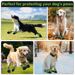DOGOYS waterproof dog boots protecting paws in wet conditions