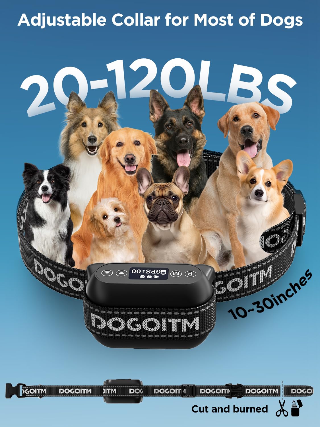 DOGOITM real-time signal updates image shows continuous boundary monitoring.