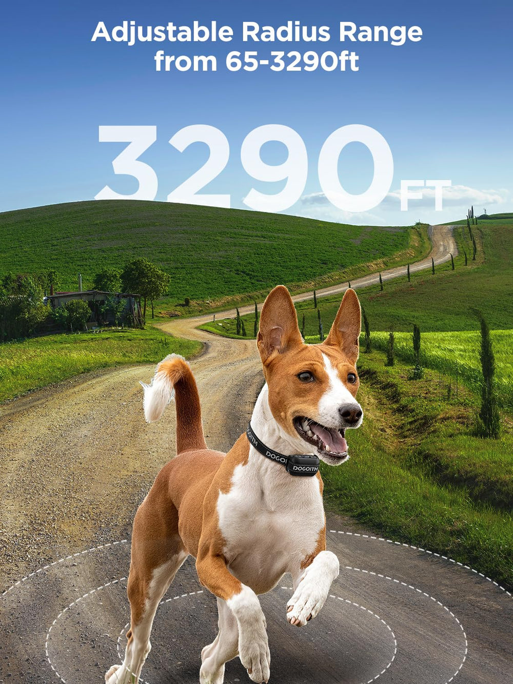 DOGOITM three warning modes illustrates gentle correction options for training.