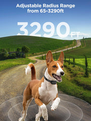 DOGOITM three warning modes illustrates gentle correction options for training.