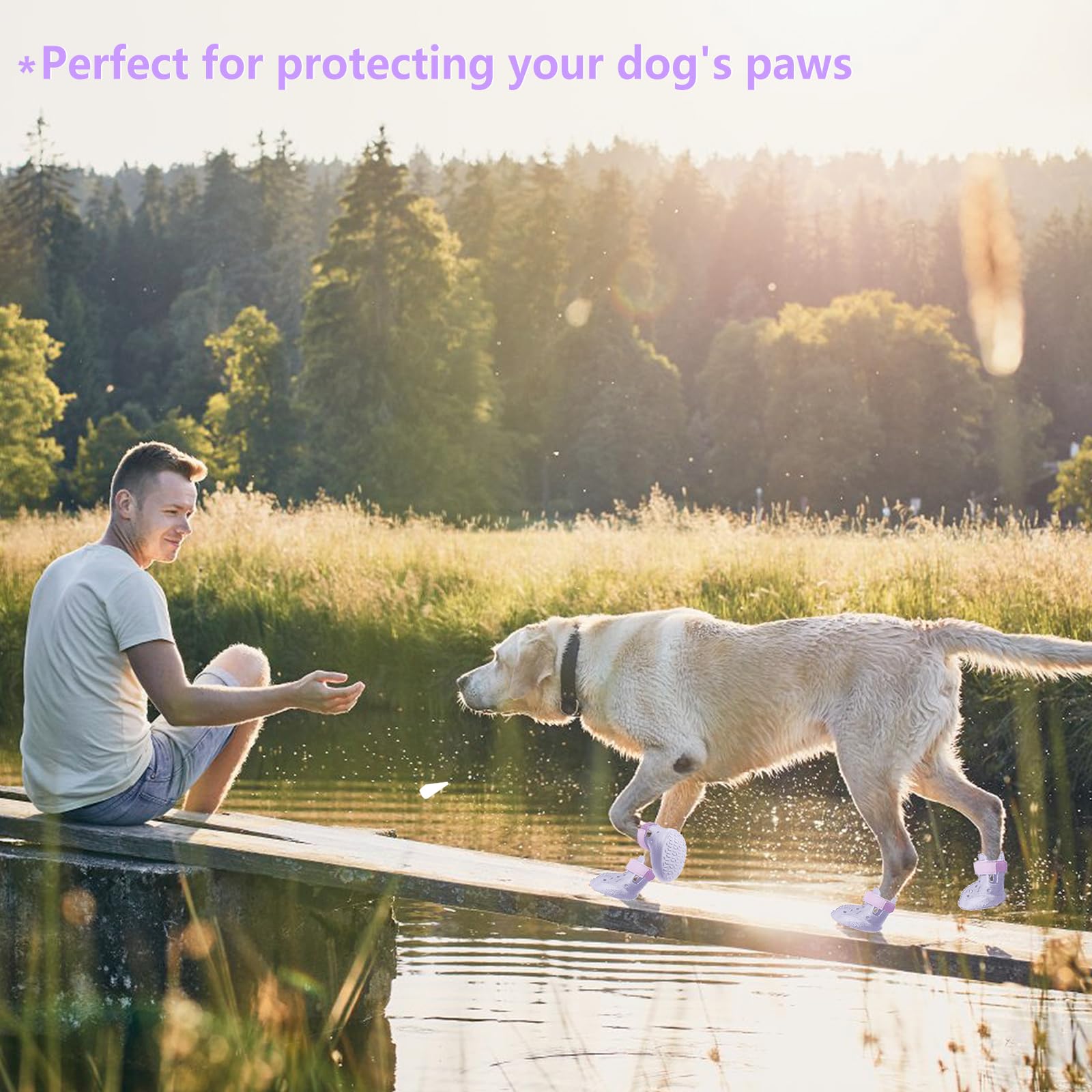 DOGOYS dog shoes purple waterproof material supports dry paws in rain or puddles