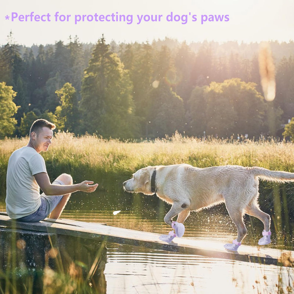 DOGOYS dog shoes purple waterproof material supports dry paws in rain or puddles