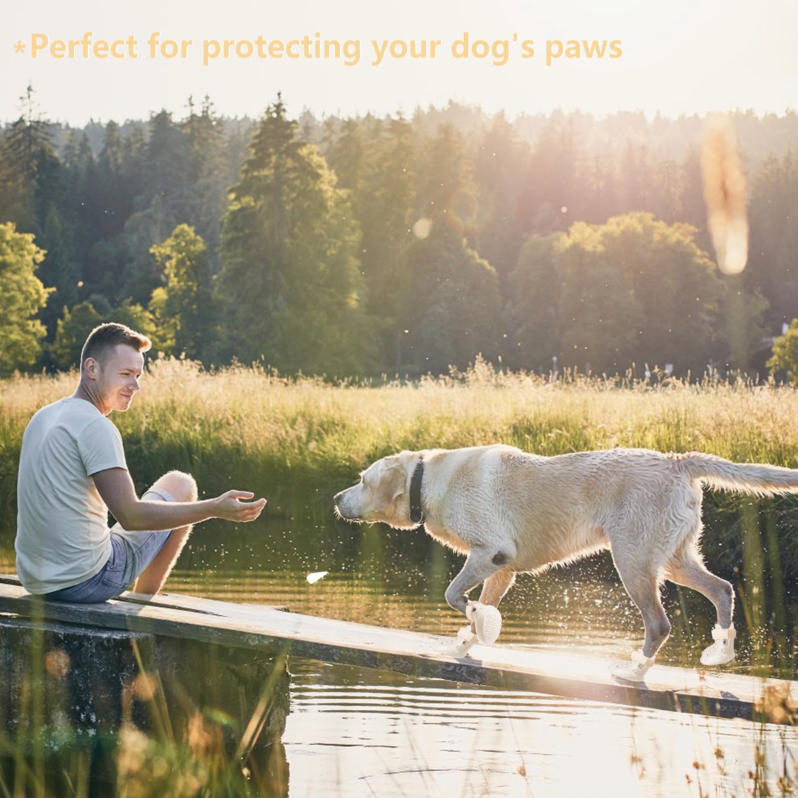 DOGOYS dog shoes waterproof-material image emphasizes protection on wet pavement.