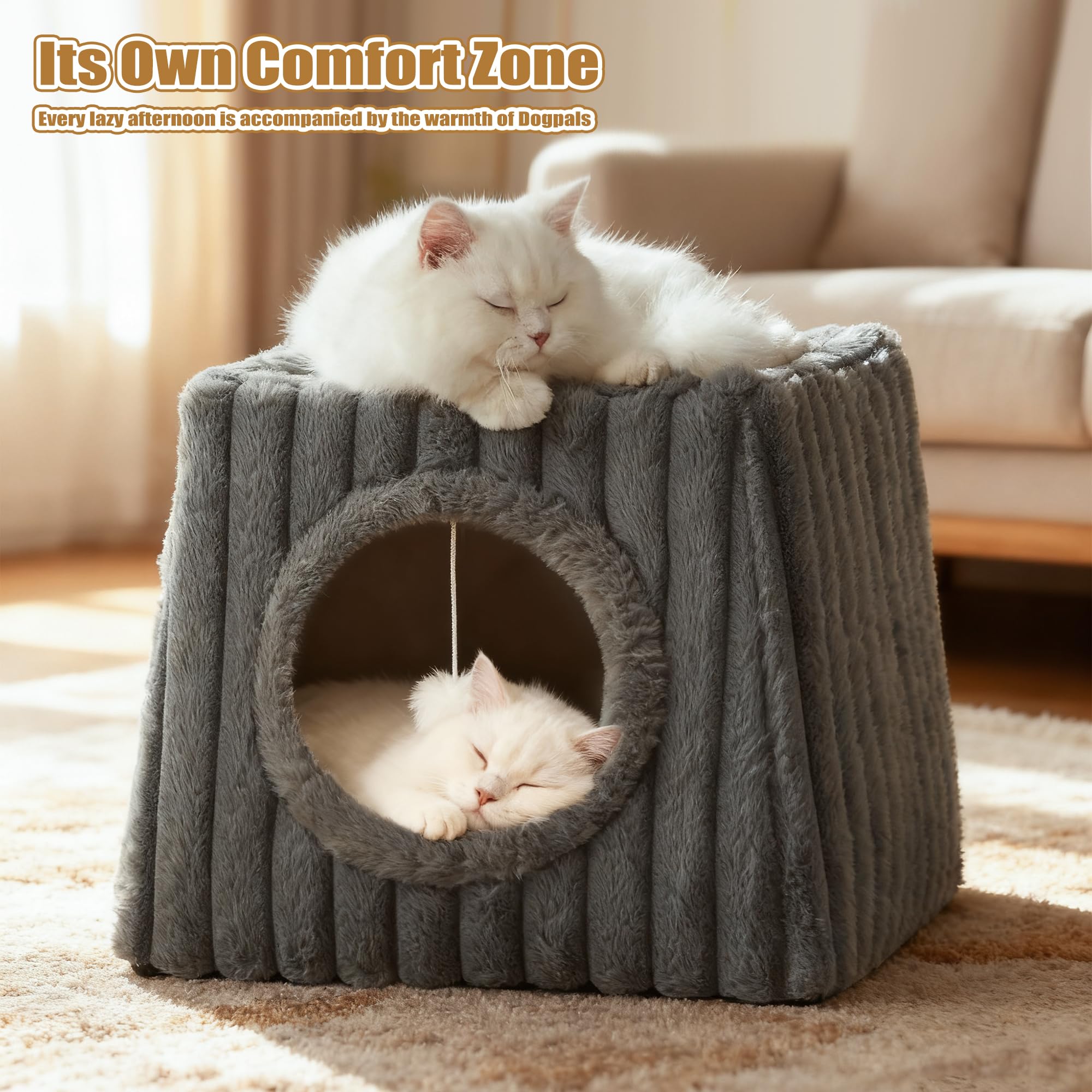 Dogpals multi-cat use image suggests ample space for several felines.