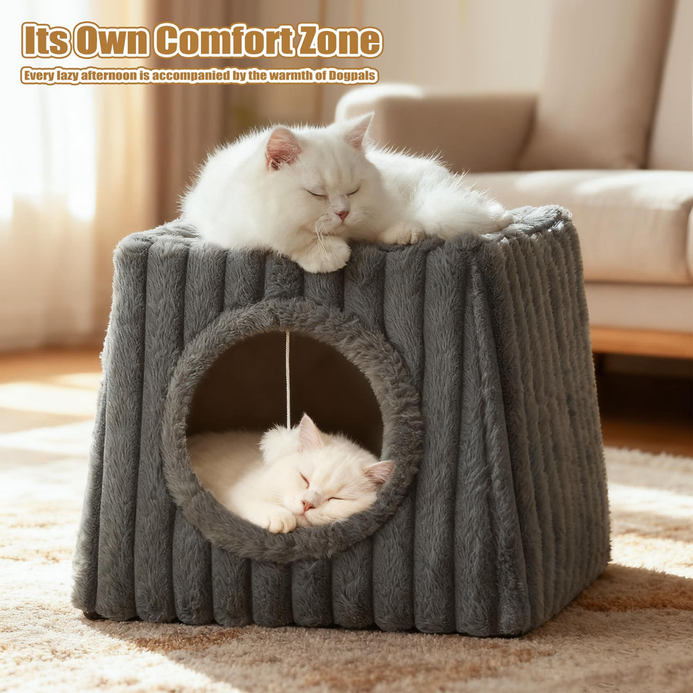 Dogpals multi-cat use image suggests ample space for several felines.