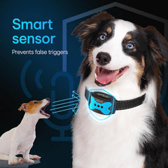 DogRook Rechargeable Bark Collar showing battery indicator; remains ready for daily indoor-outdoor sessions.
