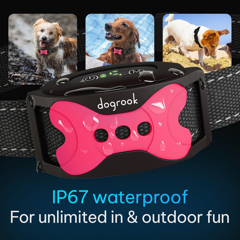 DogRook training collar in use for both indoor and outdoor scenarios