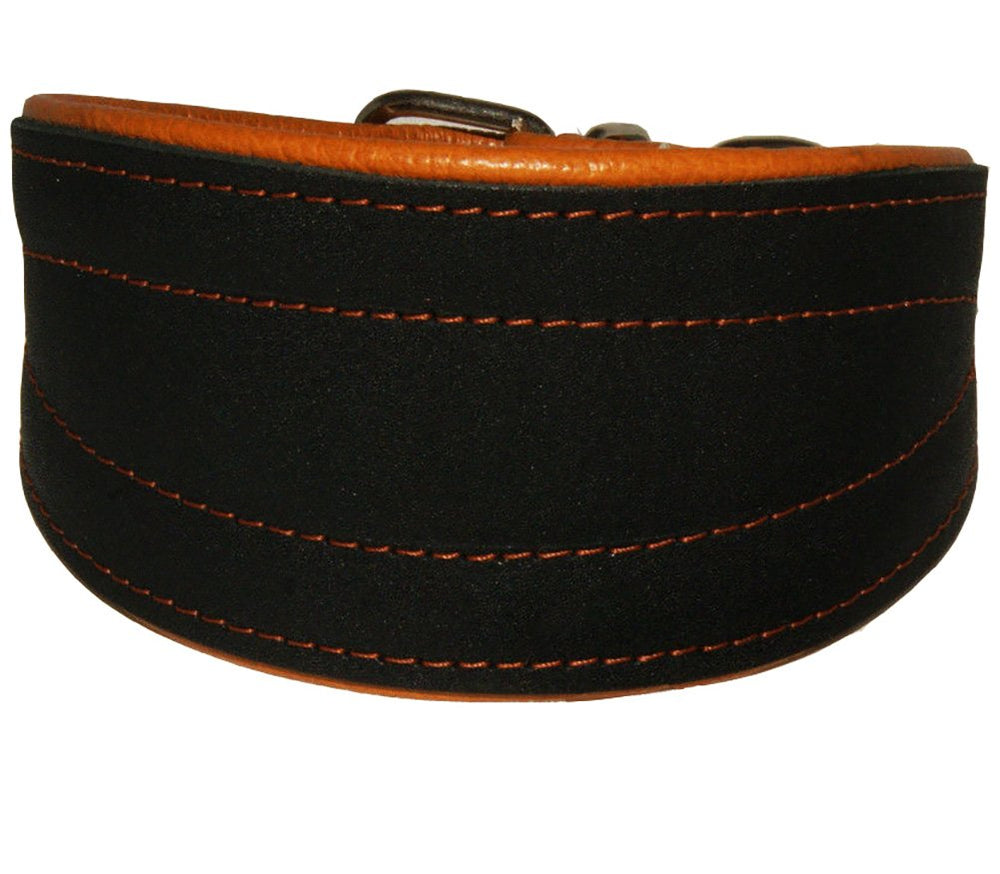 Dogs My Love six-size leather collar ready for tall breeds like greyhounds.