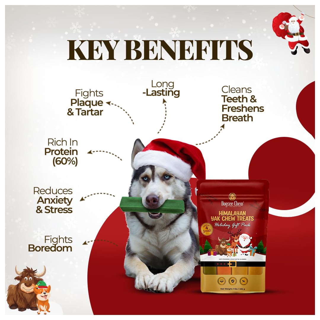 Dogsee Festive 1lb pack image highlights value for long-lasting treats.