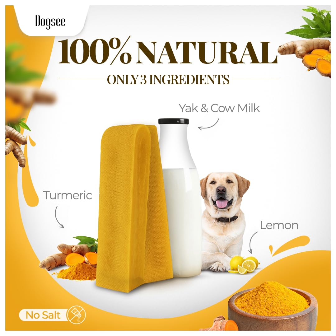 Dogsee Himalayan Yak Chews Turmeric XL dog biting action supports dental hygiene