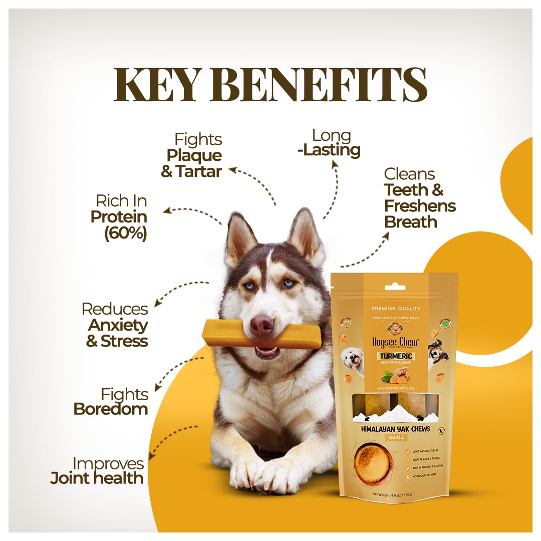 Dogsee Turmeric Yak Chews dog chewing shot demonstrates engaging, odor-free treat.