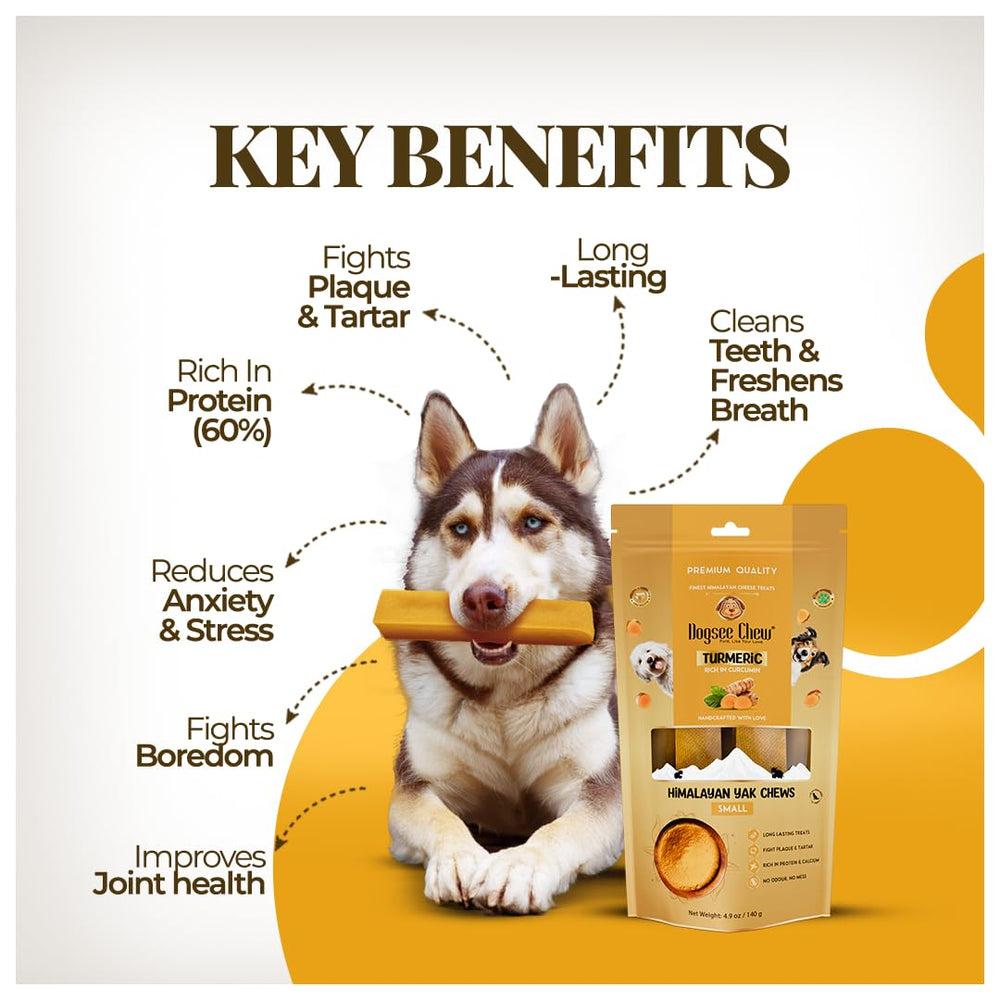 Dogsee Turmeric Yak Chews dog chewing shot demonstrates engaging, odor-free treat.