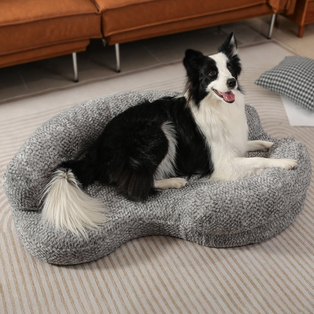 DogTender bed dimension label 43 by 29 by 8 inches illustrates ample space.