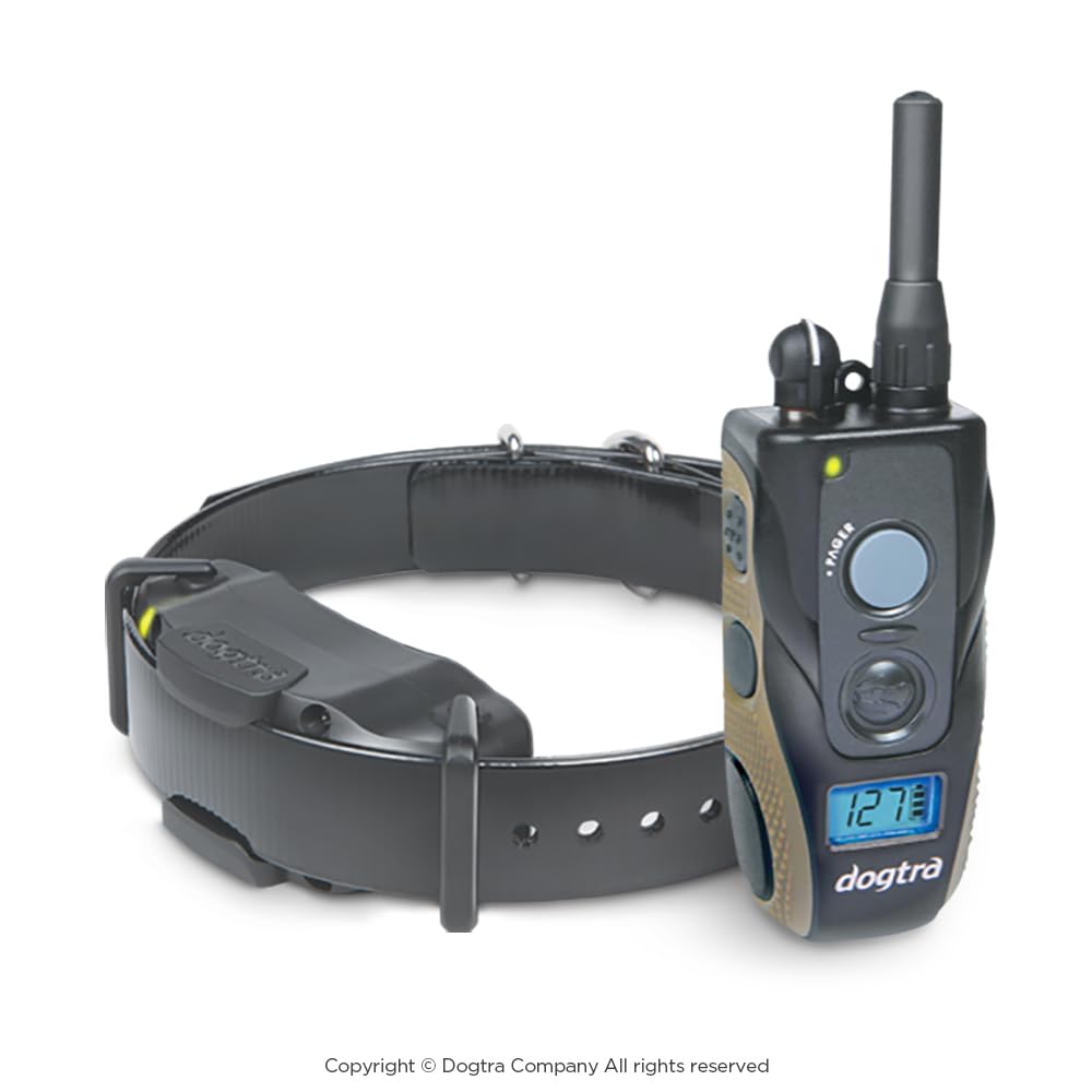 Dogtra 1900S enhanced contact points improve water resistance for water-loving dogs.