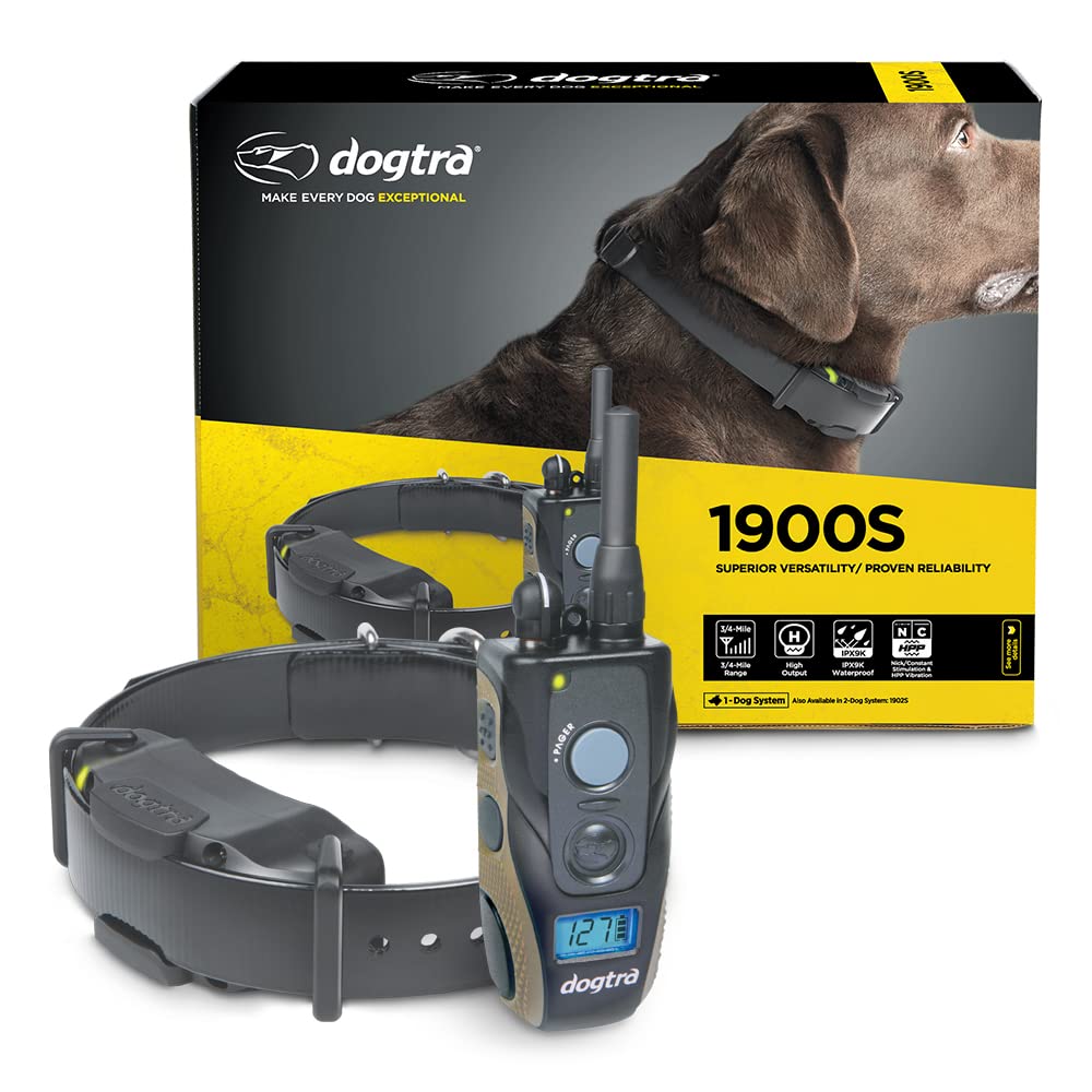 Dogtra 1900S slim receiver for comfortable, all-day wear during training sessions.