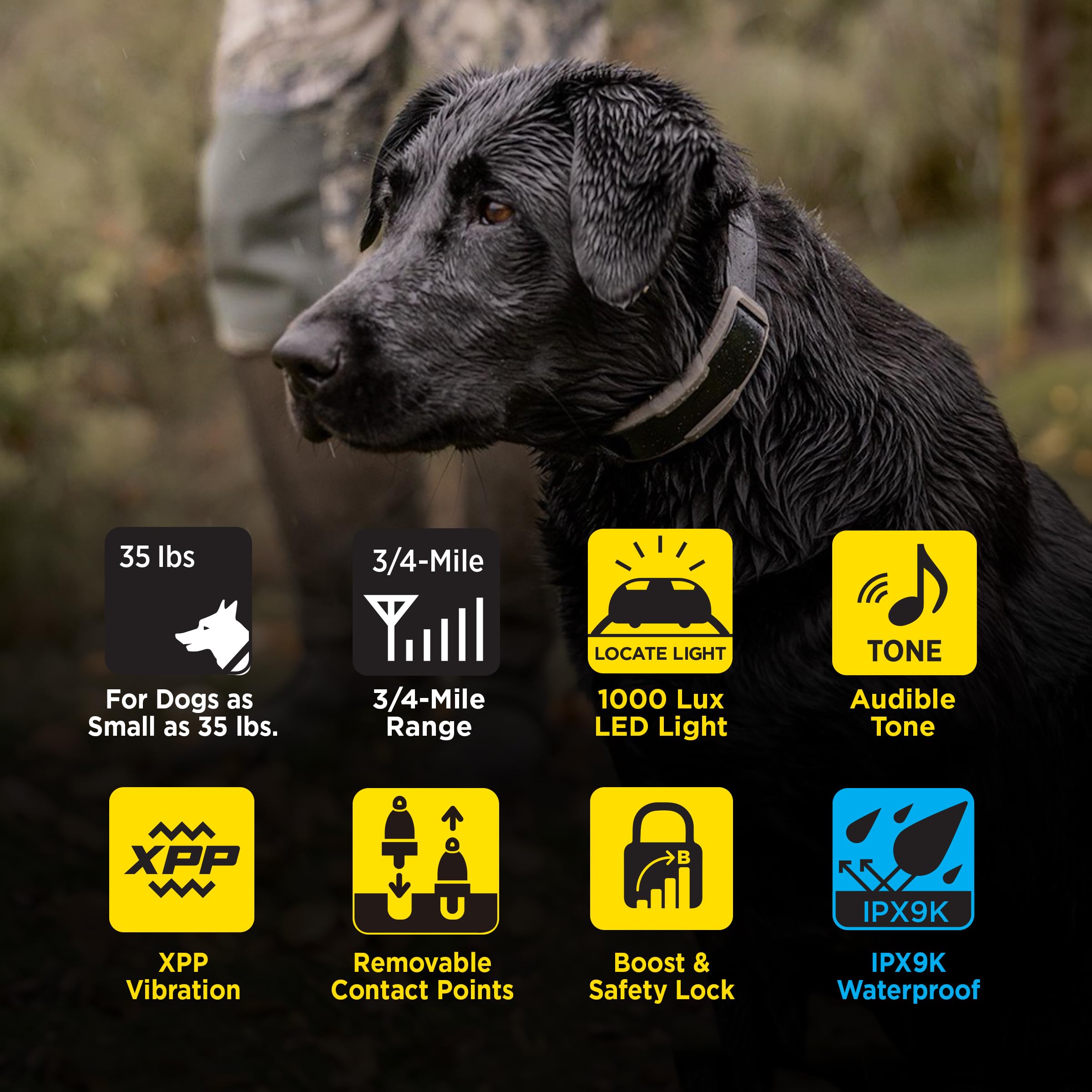 Dogtra 1900X LED light in action helps visibility in low-light outings