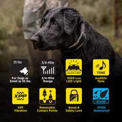 Dogtra 1900X LED light in action helps visibility in low-light outings