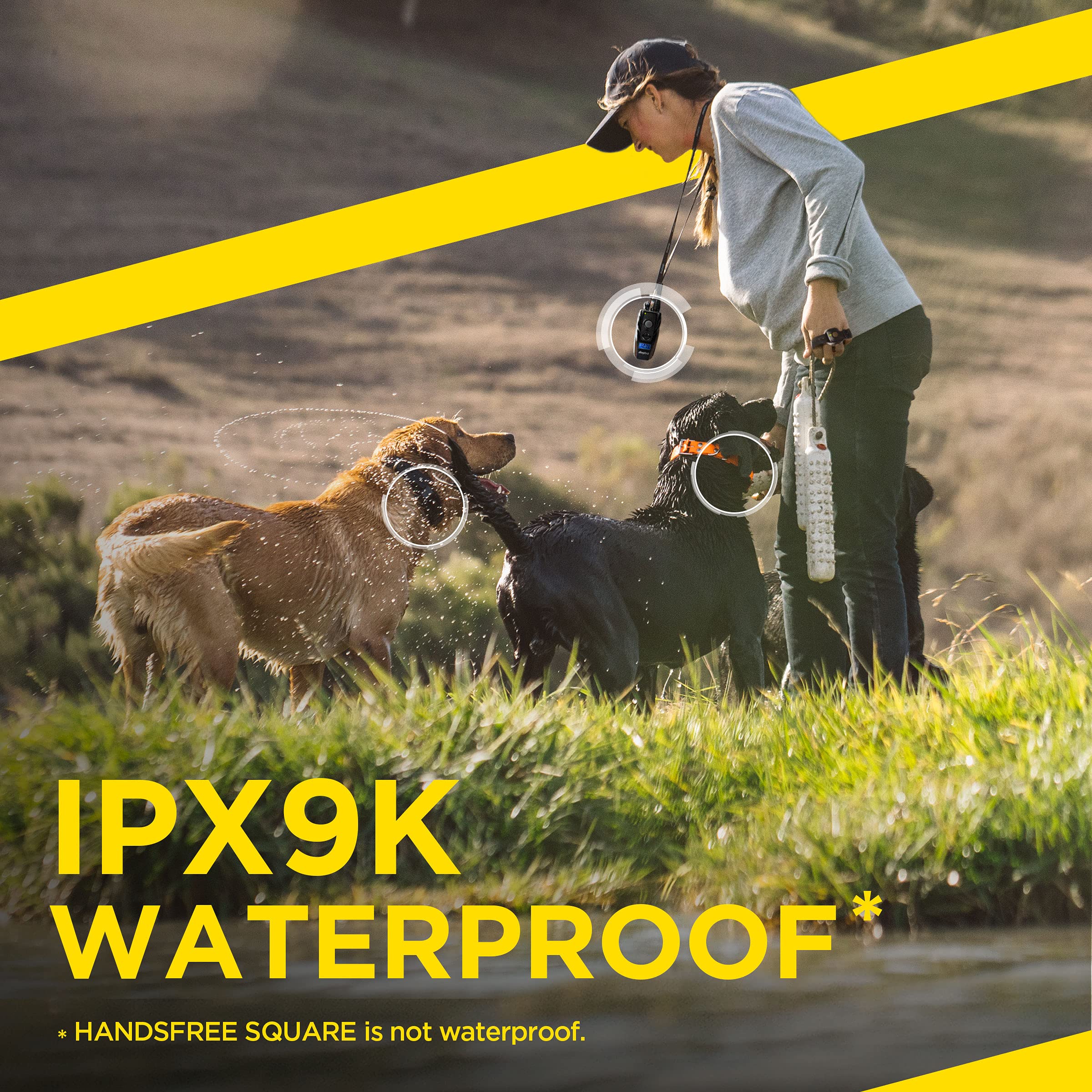 Dogtra 1902S durable weather-ready components in action.