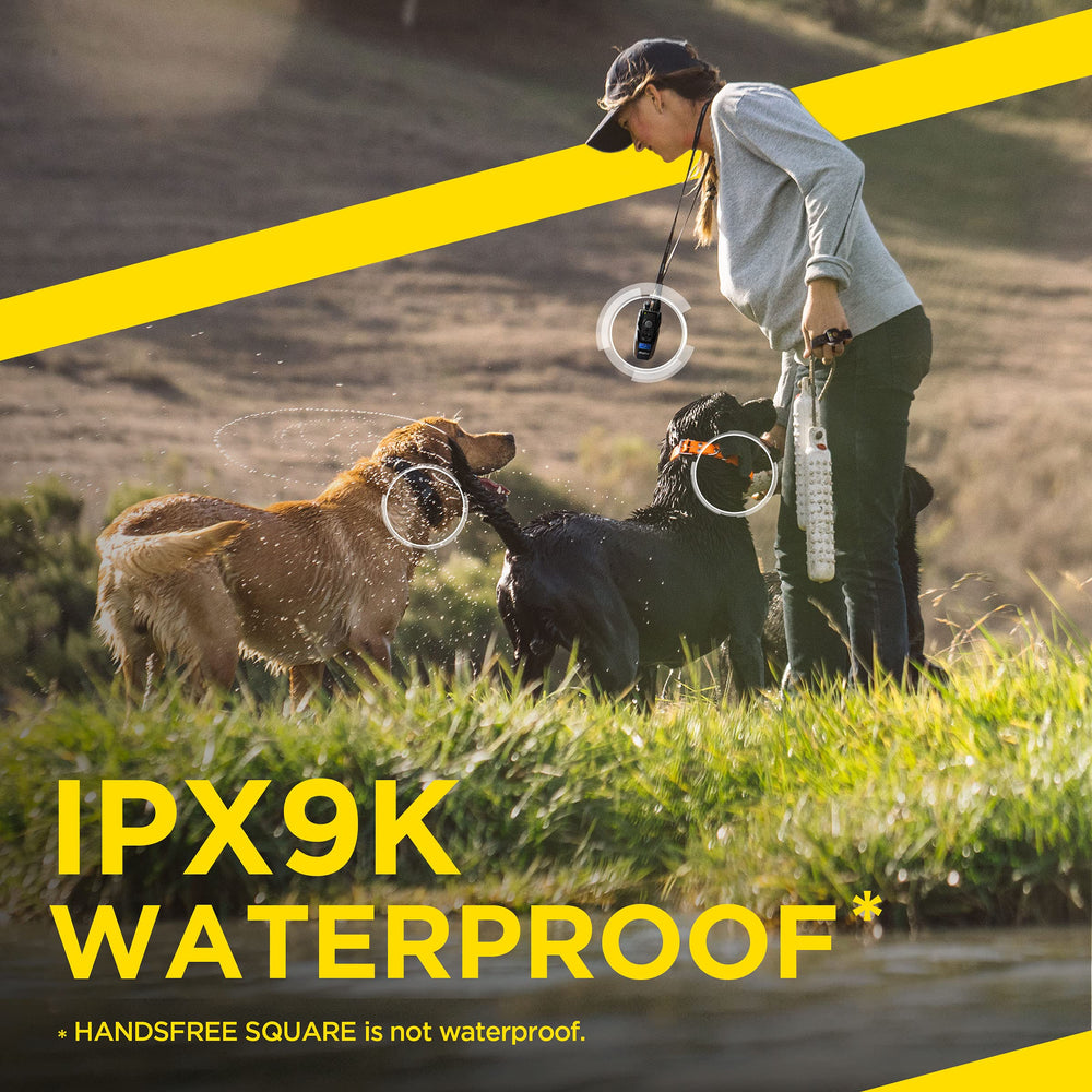Dogtra 1902S durable weather-ready components in action.