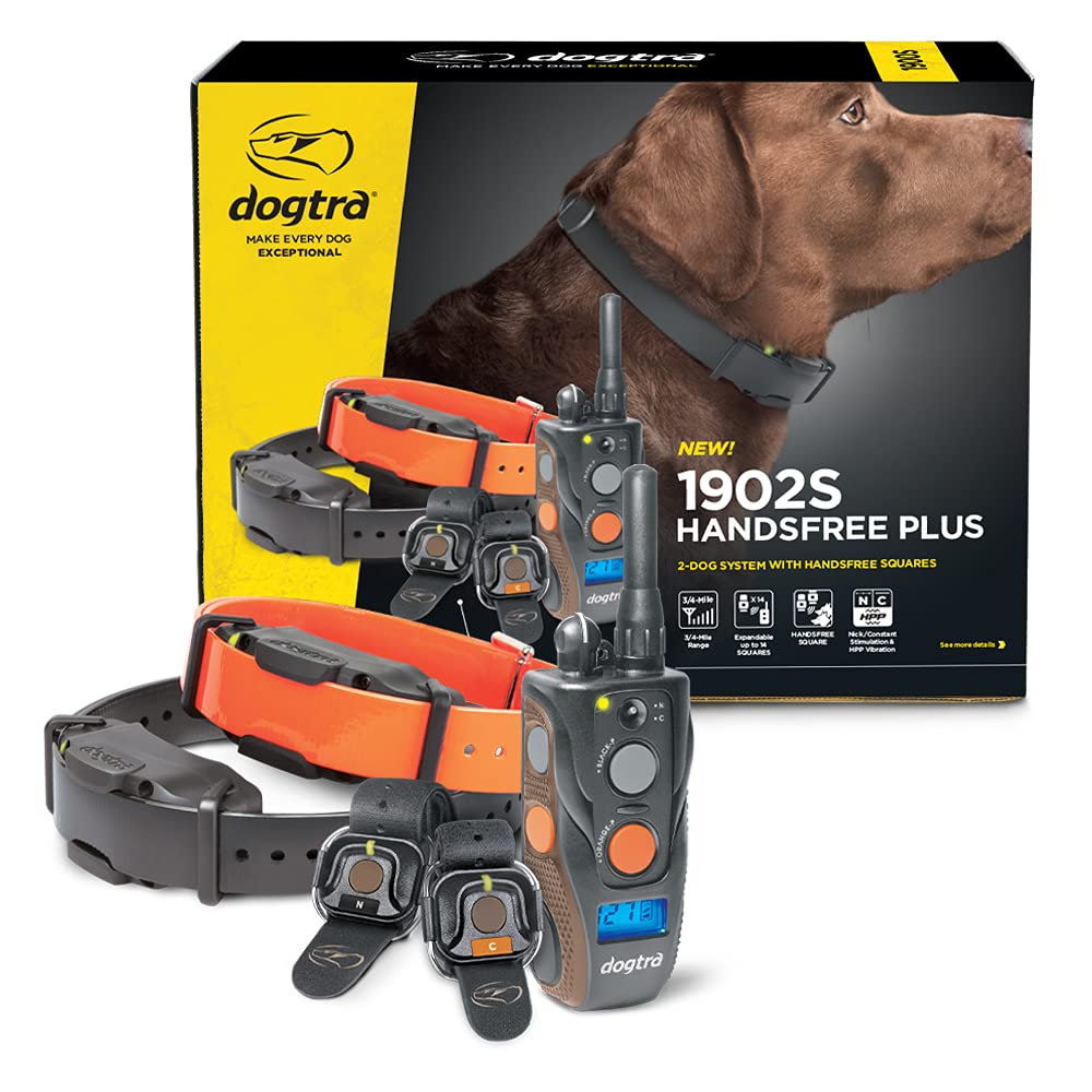 Dogtra 1902S HANDSFREE square setup for discreet multi-dog control.