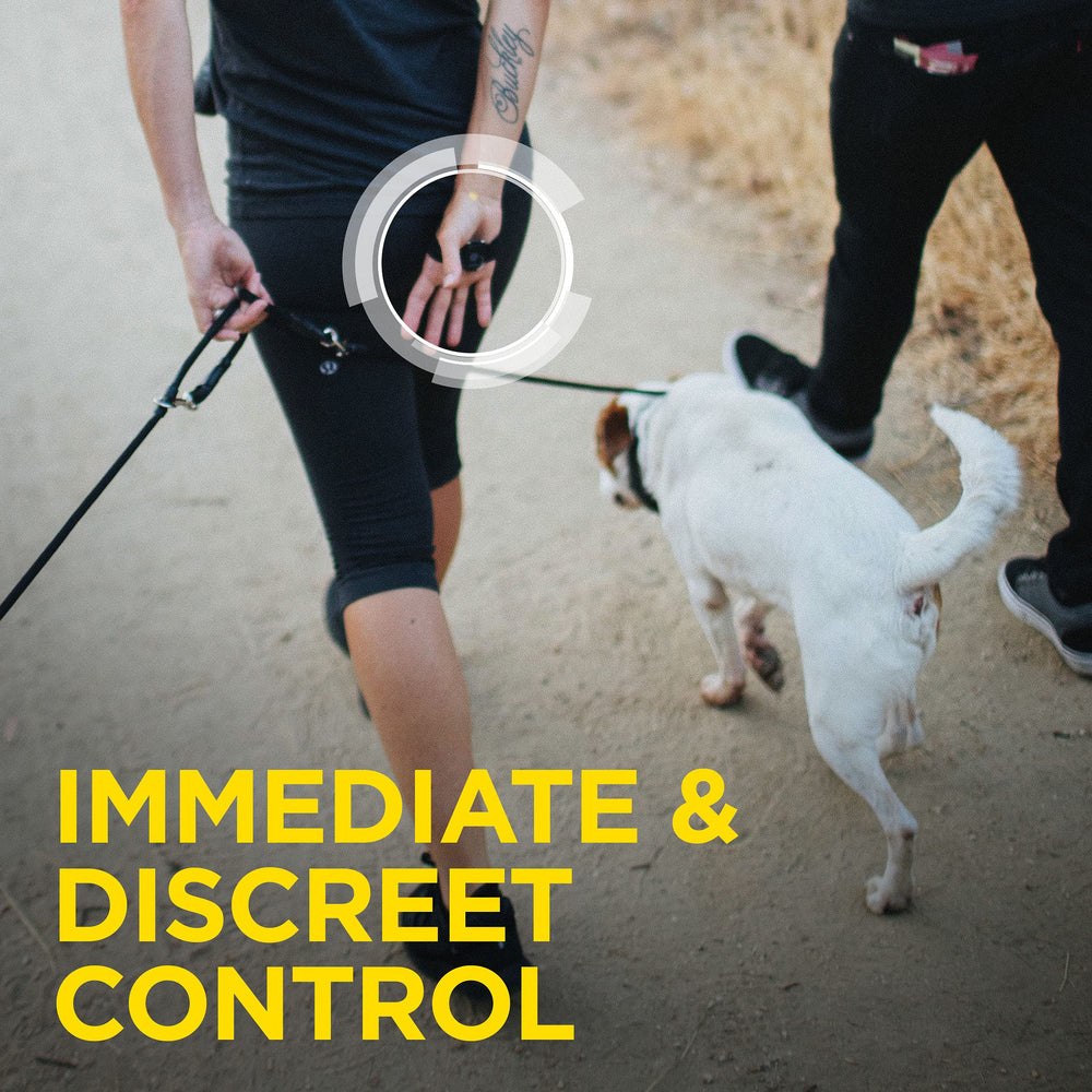 Dogtra 1902S demonstrates up to 3/4-mile range during field training.