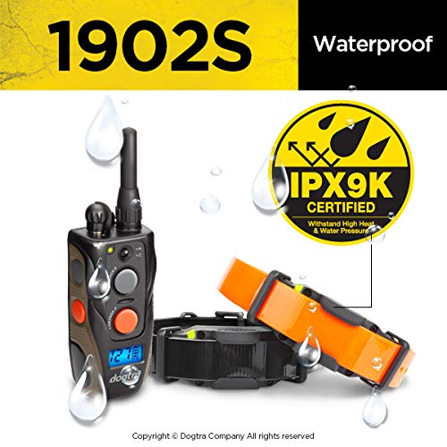 Dogtra 1902S rapid 2-hour charge minimizes downtime between sessions.