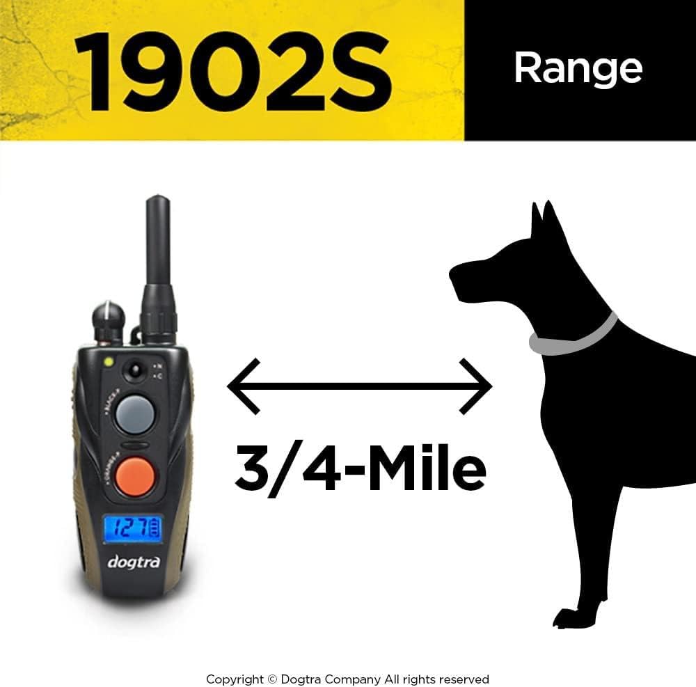 Dogtra 1902S two-dog training system supports simultaneous control.