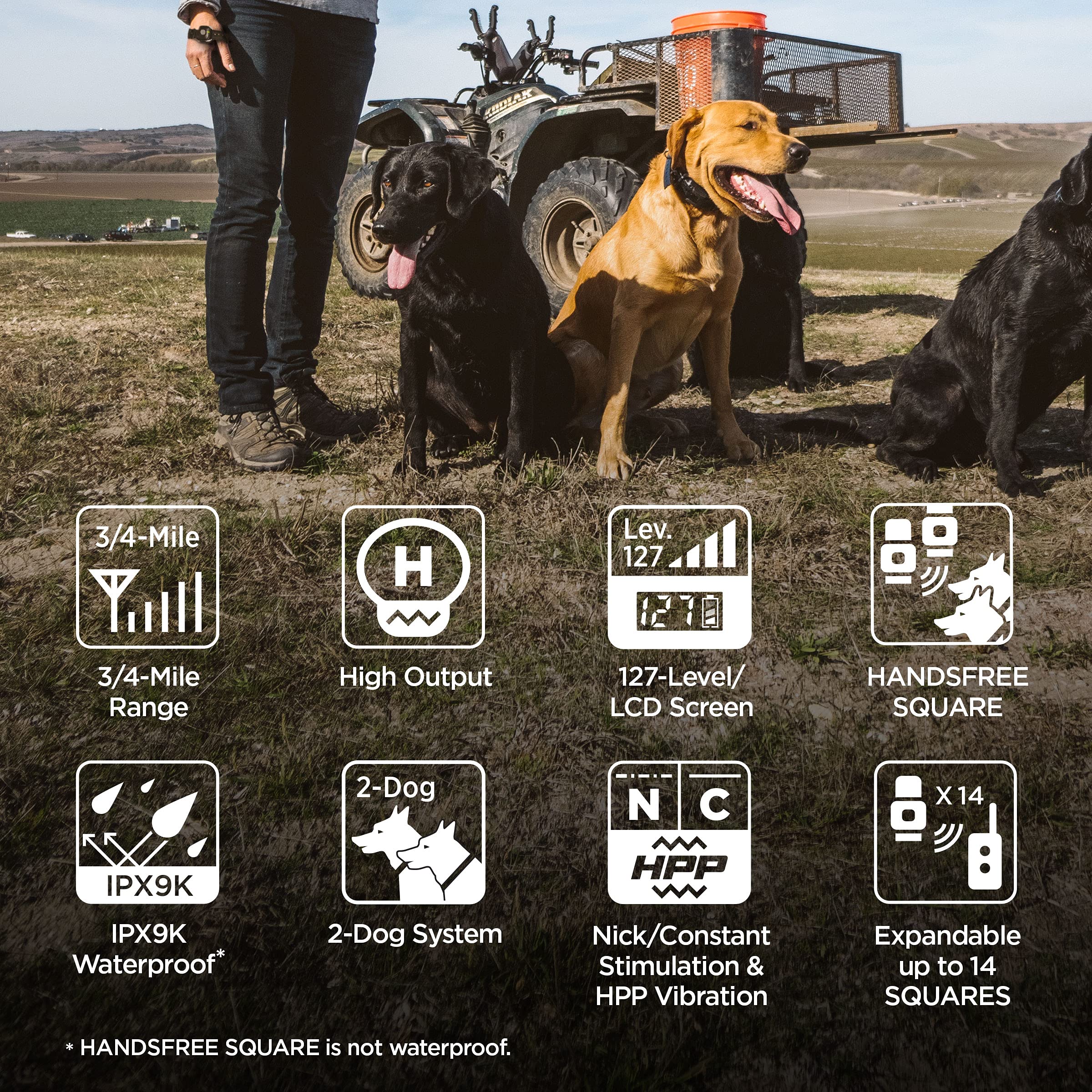 Dogtra 1902S two-dog training with HANDSFREE expansion for synchronized commands.