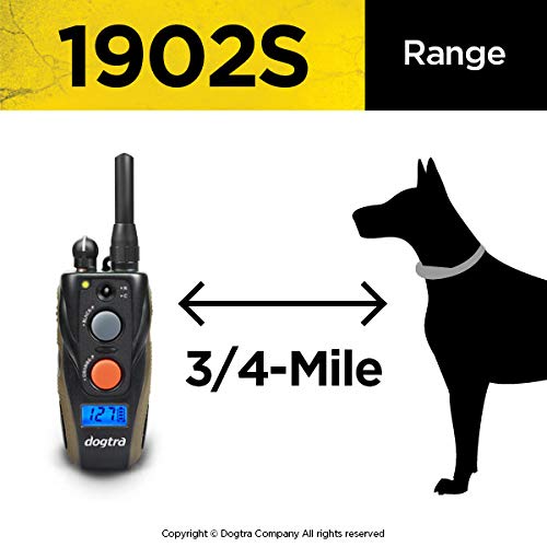 Dogtra 1902S waterproof collar ideal for wet weather training.