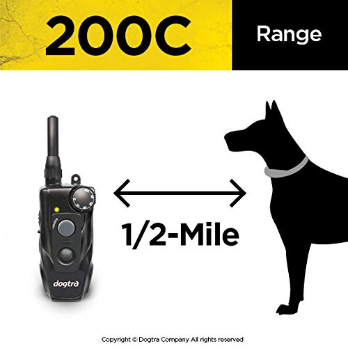Dogtra 200C training session in a park scene illustrating versatile range.