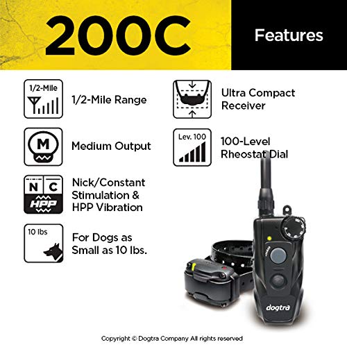 Dogtra 200C transmitter ergonomic hold for one-handed training in the park.