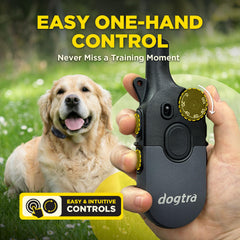 Dogtra 200iQ collar black: lightweight receiver for dogs 10 lbs and up.
