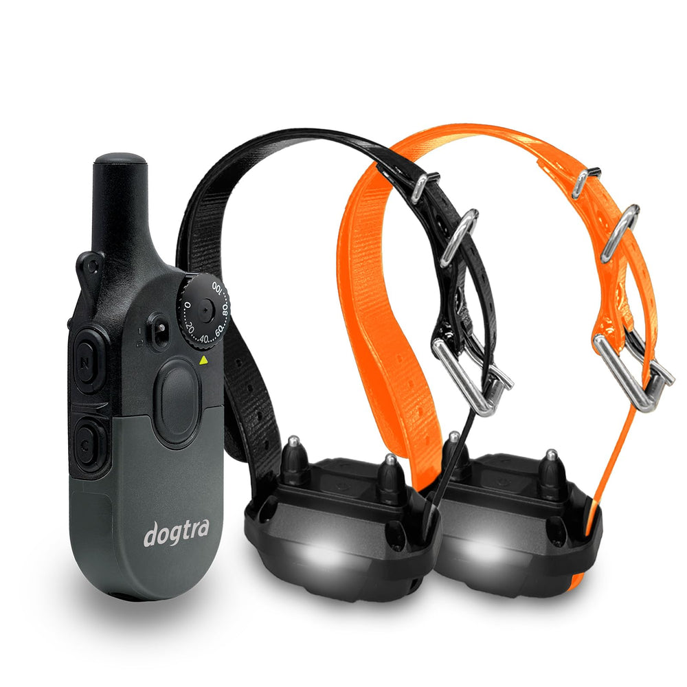 Dogtra 200iQ half-mile range: keep two dogs within reach during outdoor training.