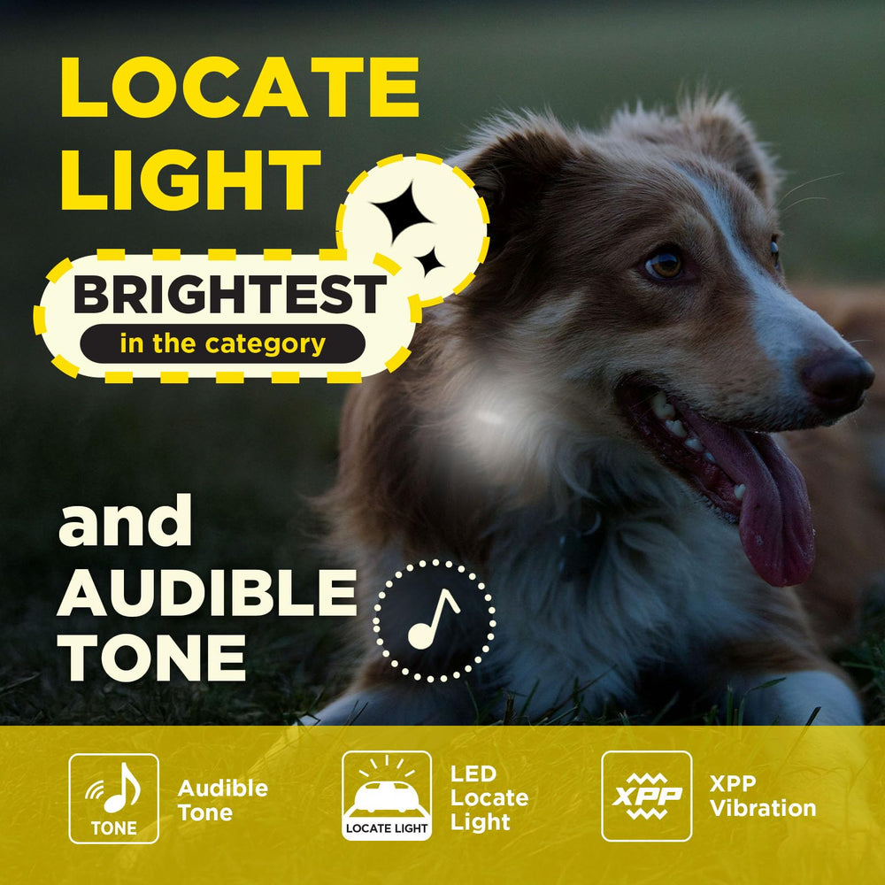 Dogtra 200iQ receiver straps: distinct straps aid quick collar recognition.