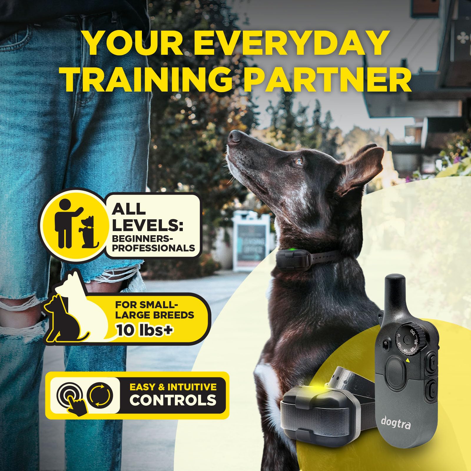 Dogtra 200iQ remote in hand: easy one-handed control during everyday obedience sessions.