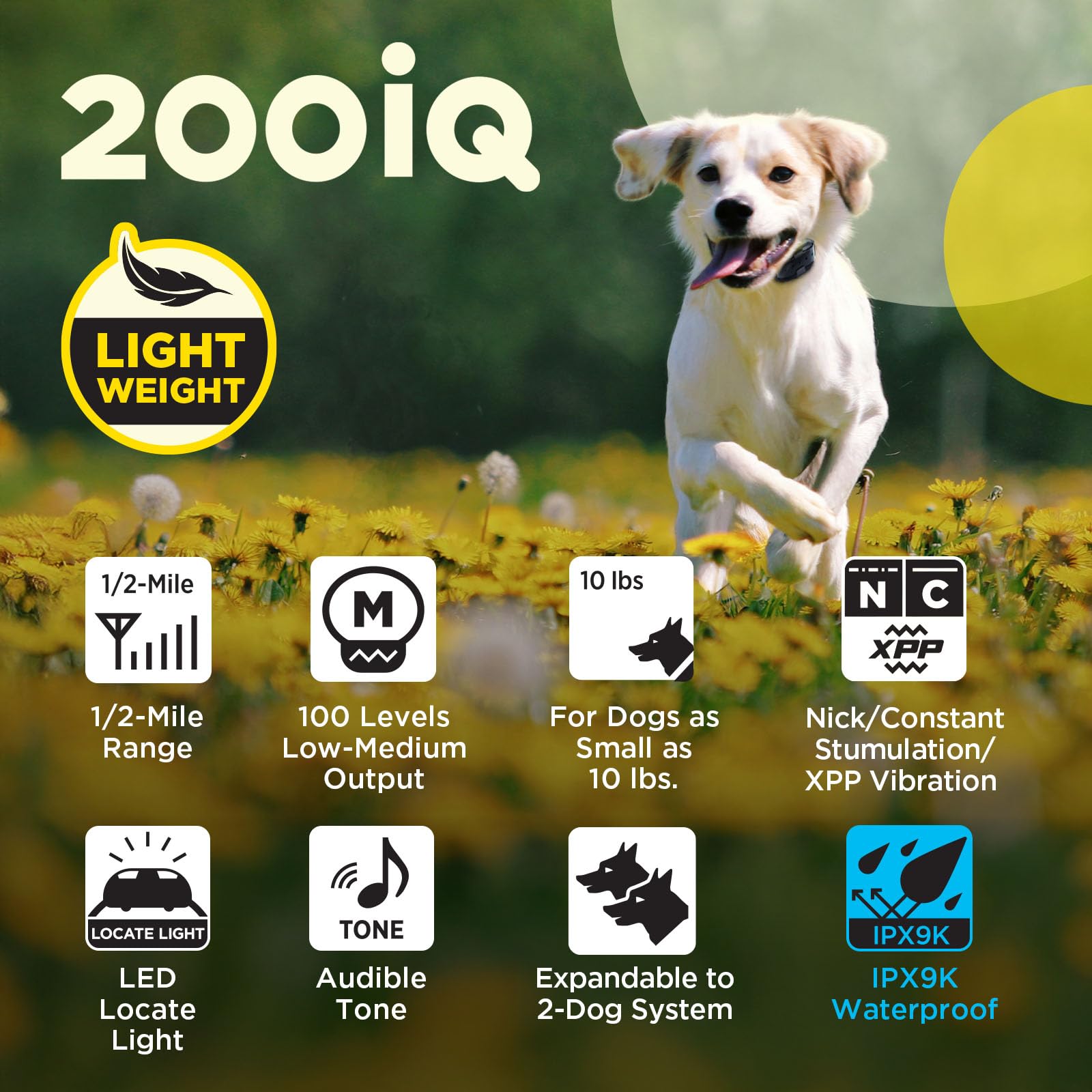 Dogtra 200iQ supports two-dog training with a single remote.