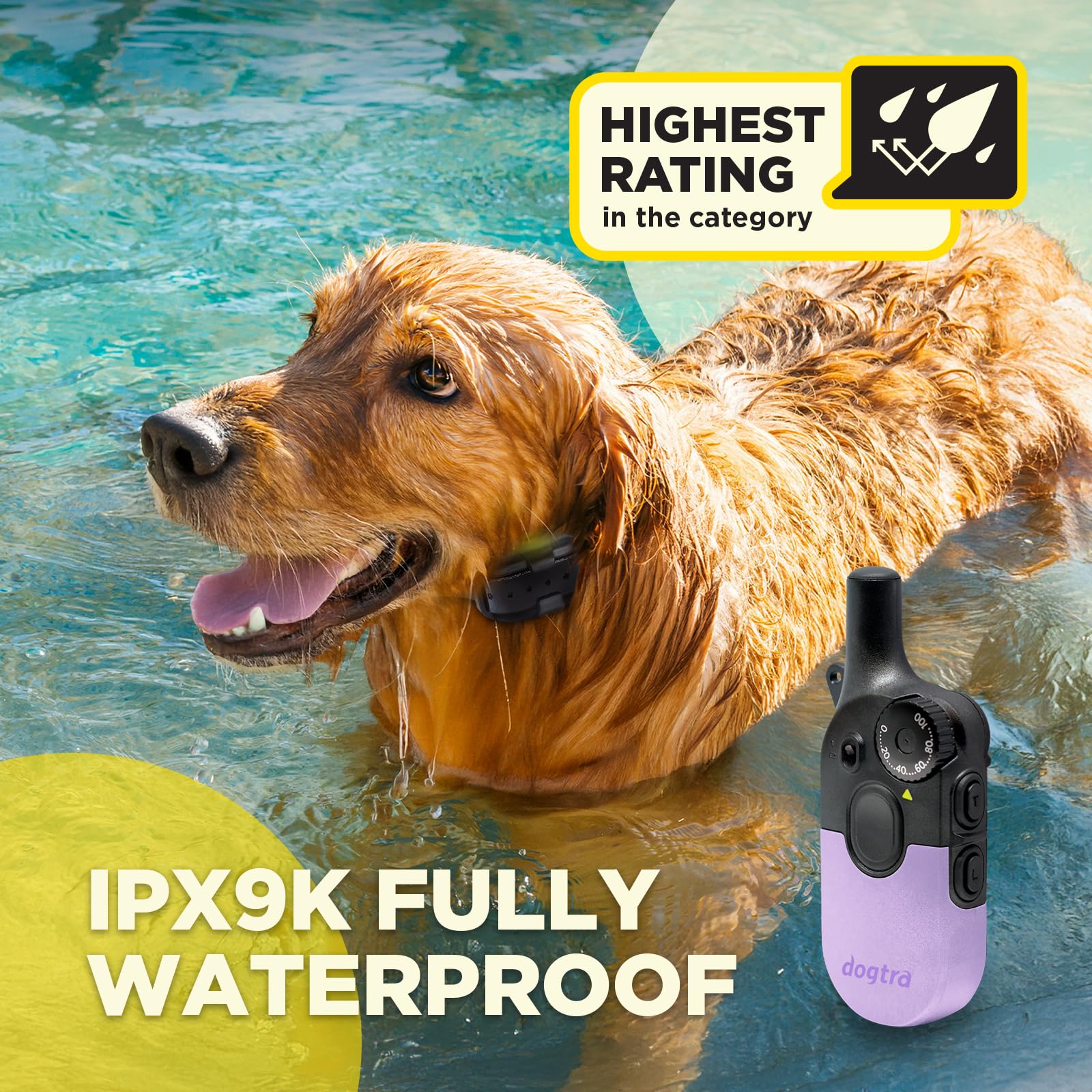 Dogtra 200iQ vibration mode offers tactile feedback.